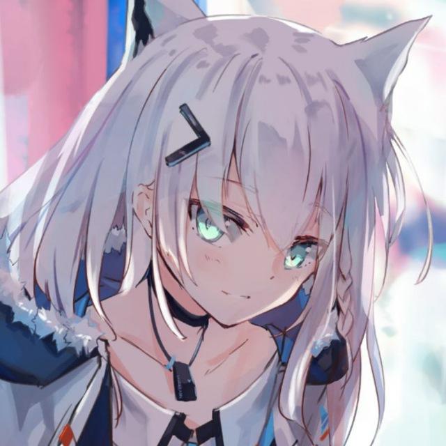 avatar of NimaQu